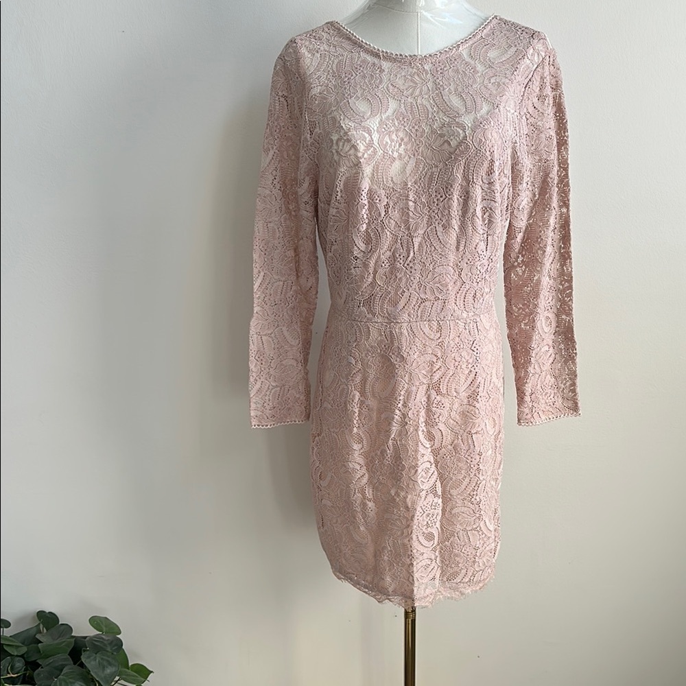 NWT Greylin Women’s Soft Girl Floral Lace Long Sleeve Romantic Feminine Dress M